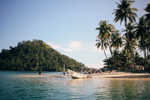 Quelles croisières permettent de participer à des safaris marins en mer Rouge?